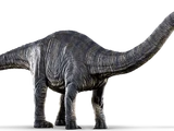 Apatosaurus