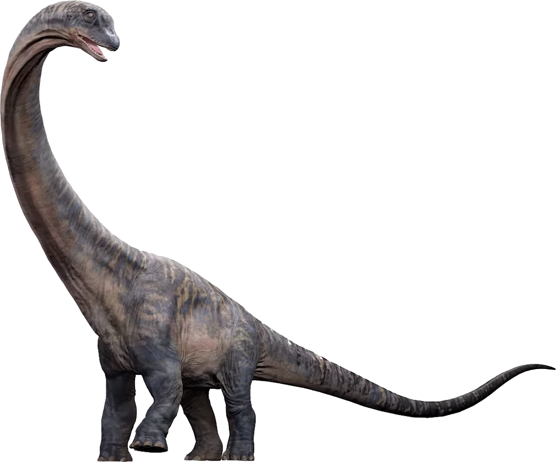 Dreadnoughtus, Jurassic Park Wiki