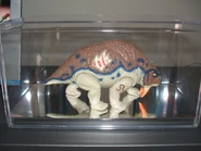 Scuto4.jpg (65 КБ) Скутозавр