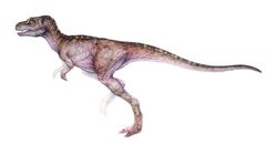 T-rex infant