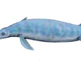 Chaohusaurus