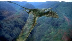 Pterodactyls, Pteranodons and Dimorphodons - The Ivory Bill