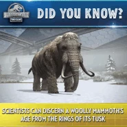 Mammothgif.gif (8.12 MB)