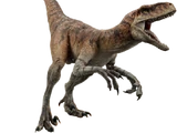 Tiger (Atrociraptor)
