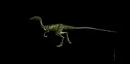Compsognathus