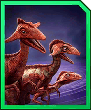 Compsocaulus