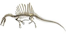 Dinosaur-Spinosaurus-semiaquatic-teznewsonline