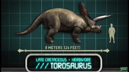 Torosaurus in Jurassic Park: Explorer