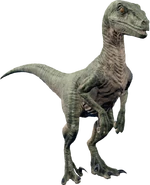 Рапторэволюция.png (255 КБ)