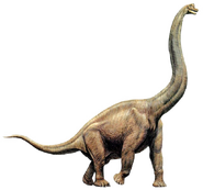 Brachiosaurus-apatosaurus-giraffatitan-sauropoda-d-brachiosaurus-5b2432b77c8c06.5638590815290989355102