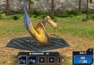 ColoborhynchusJWTG2.png (1,46 МБ) 21-30 уровень