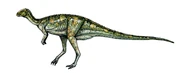 Dryosaurus-0.jpg (28 kB)