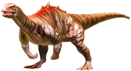 JWA PressKit Plateorex