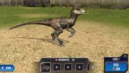 Velociraptor Base Form