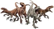 The Atrociraptors which replaced the Deinonychus in the film