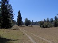 Private Ranch in Fieldbrook, California