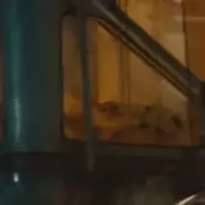 Ornithopode sans nom (cadavre)