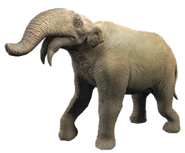 Deinotherium 10.png (783 KB)