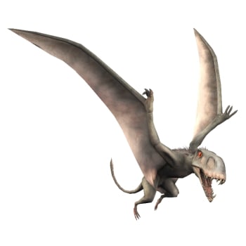 Dimorphodon, Jurassic Park Wiki