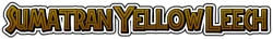 SumatranYellowLeechName