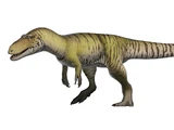 Torvosaurus