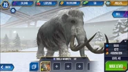 Level 40