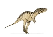 Albertosaurus