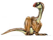 Conchoraptor