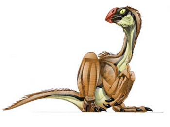 JPI Conchoraptor