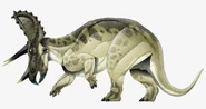 JPI Triceratops