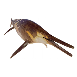 JWE2 Shonisaurus Database