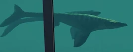JWE2 undentified mosasaur
