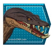 NothoFacts.png (244 KB)