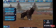 Level 20