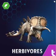 Stegoceratops Promo 1