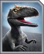 Allosaurus card