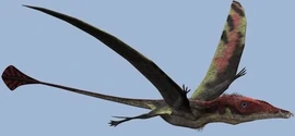Eudimorphodon