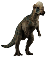 Jurassic park pachycephalosaurus by camo flauge-dcfu6qx