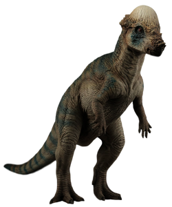 Pachycephalosaurus Jurassic Park Wiki Fandom