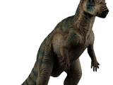 Pachycephalosaurus