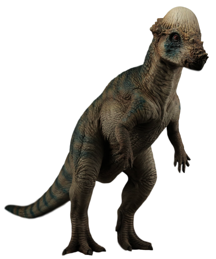 Pachycephalosaurus Jurassic Park Wiki Fandom 6188