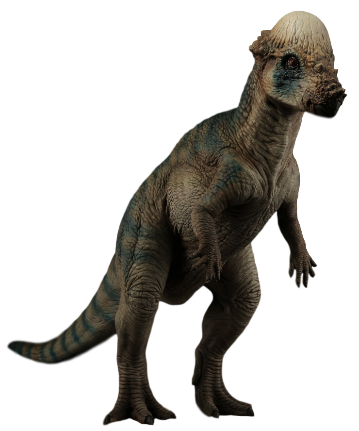 Pachycephalosaurus | Jurassic Park Wiki | Fandom