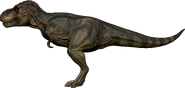 RexCoastal render