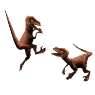 Velociraptor-Render