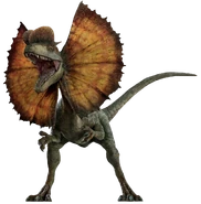 Dilophosaurus (AKA Chlamydosaurus sputori)