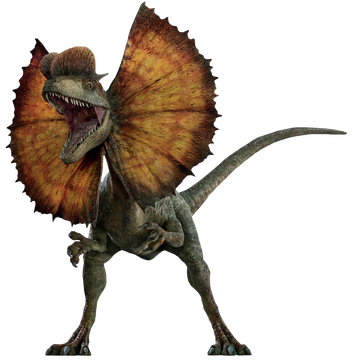 Dilophosaurus Jurassic Park Wiki Fandom