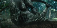 Indominus snapping neck.png (1.02 MB) Indominus rex snapping a Ankylosaurus's neck in the Gyrosphere valley