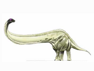 Mamenchisaurus