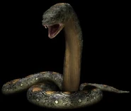 JWA PressKit Titanoboa.jpg (35 KB)