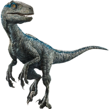 Baby blue velociraptor deals